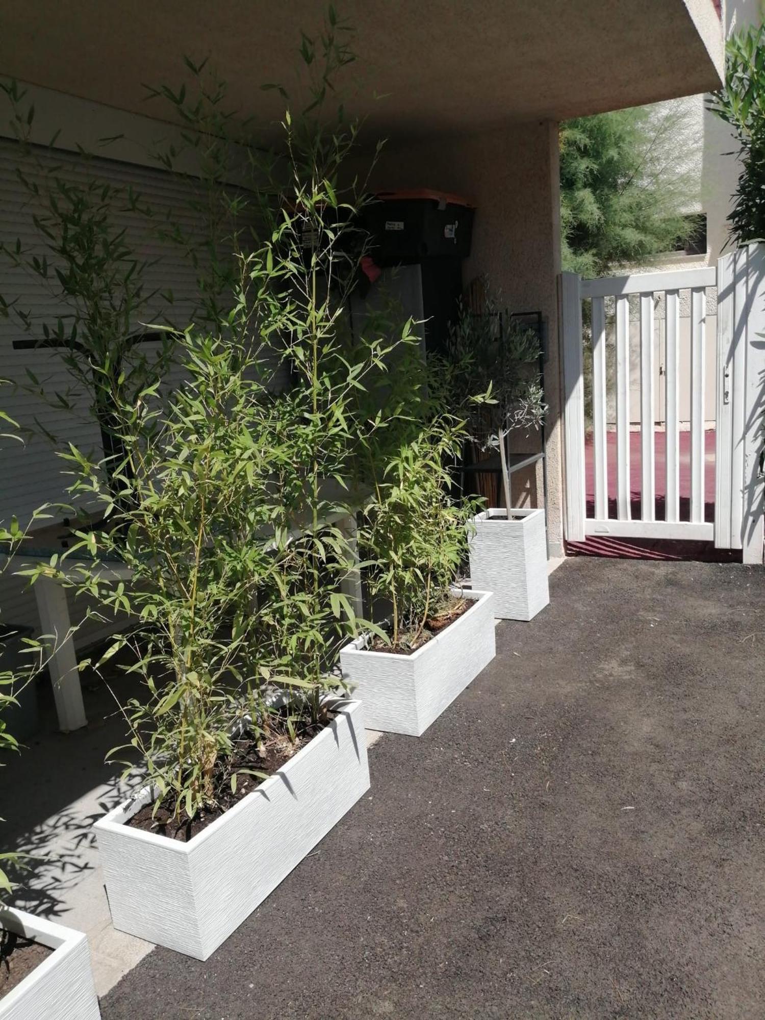 Asklan Bormes-les-Mimosas Exterior foto